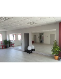 Glace Argentée épaisseur 4 mm